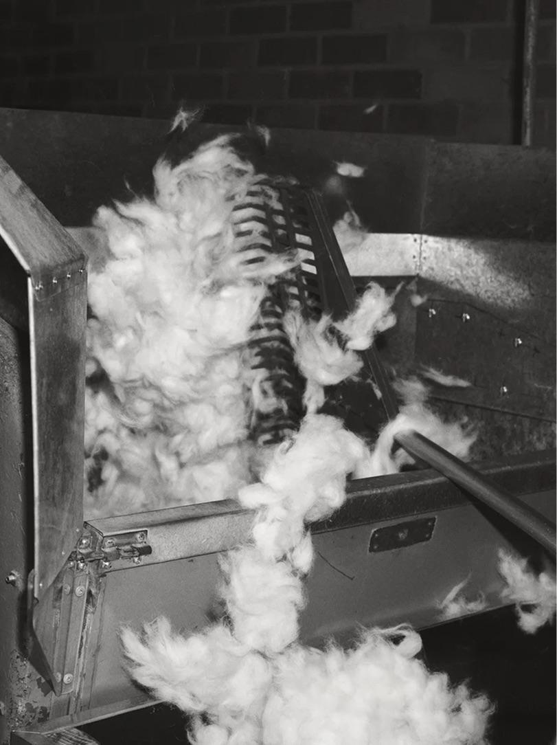 Fur being cleaned and blended